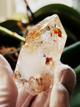 Load image into Gallery viewer, UV Reactive Skeletal Quartz from Madagascar/With Red Clay Inclusion/Very Lustrous and Clear/Master Healing Crystal - 70g
