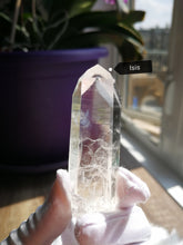 Load image into Gallery viewer, Colombian Lemurian Seed Crystal with Blue Mist/Transmitter + Isis Quartz/Crystal Collection/Healing