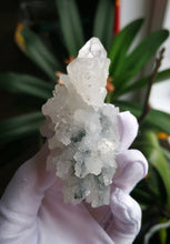 Load image into Gallery viewer, Apophyllite/Calming energy/Healing trauma from childhood/Relieve stress and anxiety/Inner balance/Meditation