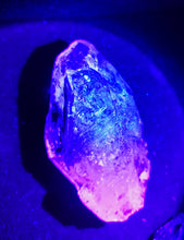 Load image into Gallery viewer, UV Reactive Skeletal Quartz from Madagascar/Red Clay & Lavender Purple Inclusions/Master Healing Crystal - 63g
