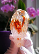 Load image into Gallery viewer, UV Reactive Skeletal Quartz from Madagascar/Red Clay & Lavender Purple Inclusions/Master Healing Crystal - 63g