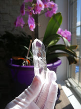 Load image into Gallery viewer, Colombian Lemurian Seed Crystal with Blue Mist/Transmitter Quartz/Crystal Collection/Healing/Meditation-46g
