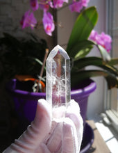 Load image into Gallery viewer, Colombian Lemurian Seed Crystal with Blue Mist/Transmitter Quartz/Crystal Collection/Healing/Meditation-46g
