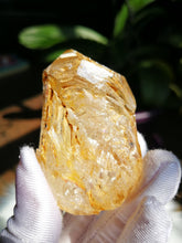 Load image into Gallery viewer, Extraordinary Golden Skeletal Quartz from Pakistan/Yellow Clay Inclusions/Rainbows/Ancient Wisdom/Master Healing Crystal - 70g
